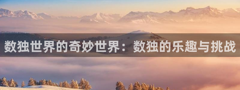 数独世界的奇妙世界：数独的乐趣与挑战