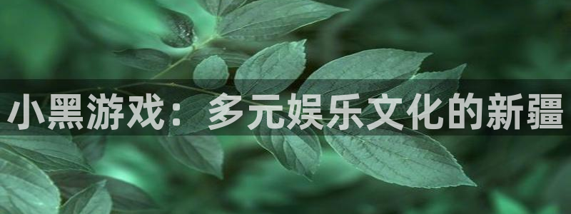 小黑游戏：多元娱乐文化的新疆