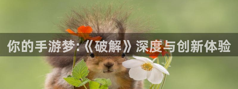 完美电竞平台可以观战吗：你的手游梦:《破解》深度与创新体验