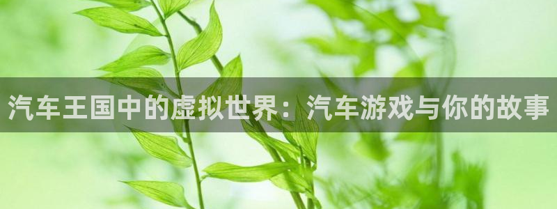  完美电竞平台不显示战绩：汽车王国中的虚拟世界：汽车游戏与你的