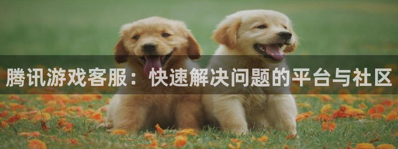 完美电竞世界赛季结束时间：腾讯游戏客服：快速解决问题的平台与