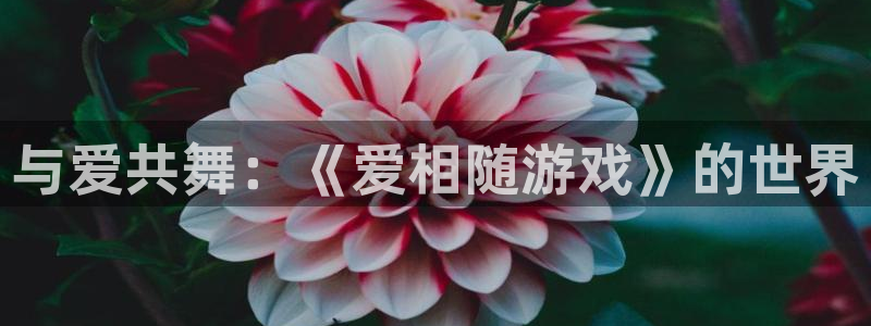 完美电竞appsteam校验：与爱共舞：《爱相随游戏》的世界