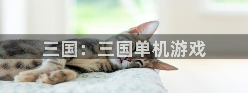 完美电竞怎么授权steam库存：三国：三国单机游戏