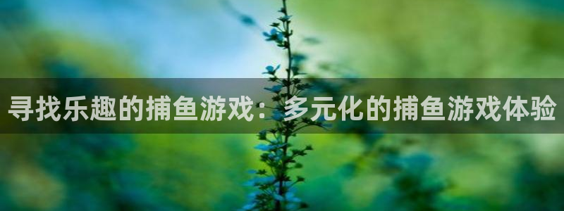  完美电竞平台csgo可以1v1三种枪吗：寻找乐趣的捕鱼游戏：