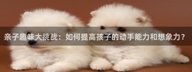 完美电竞世界库存怎么刷新的：亲子趣味大挑战：如何提高孩子的动