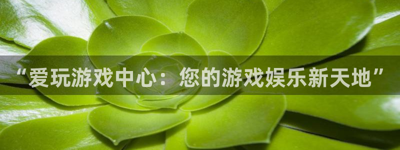  完美电竞平台怎么生成完美时刻：“爱玩游戏中心：您的游戏娱乐新