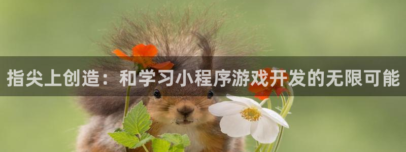 完美电竞平台有防沉迷吗：指尖上创造：和学习小程序游戏开发的无