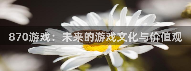  完美电竞平台怎么改手机号：870游戏：未来的游戏文化与价值观