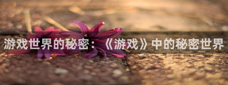  完美电竞app创作者：游戏世界的秘密：《游戏》中的秘密世界